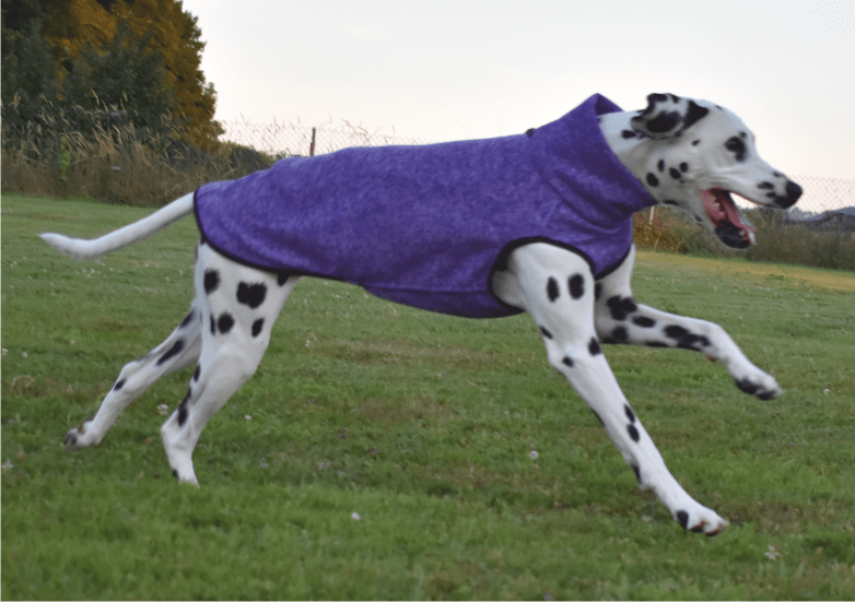 Edda Hachico Jumper 02