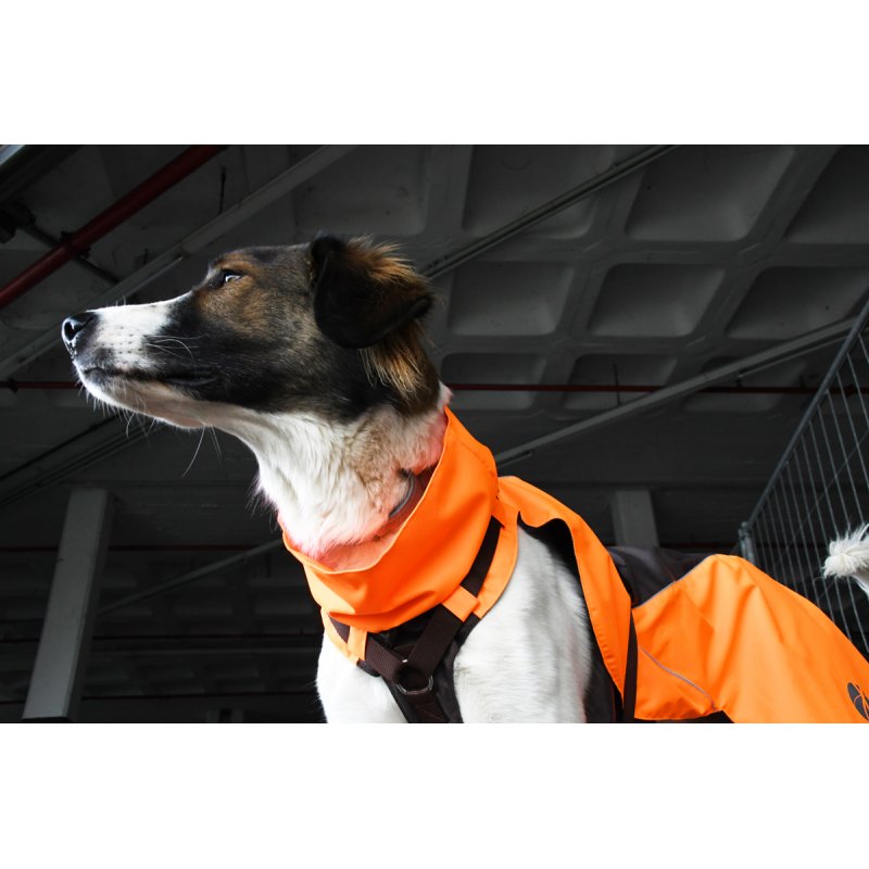 Leuchtorange Braun Mantelgeschirr 3