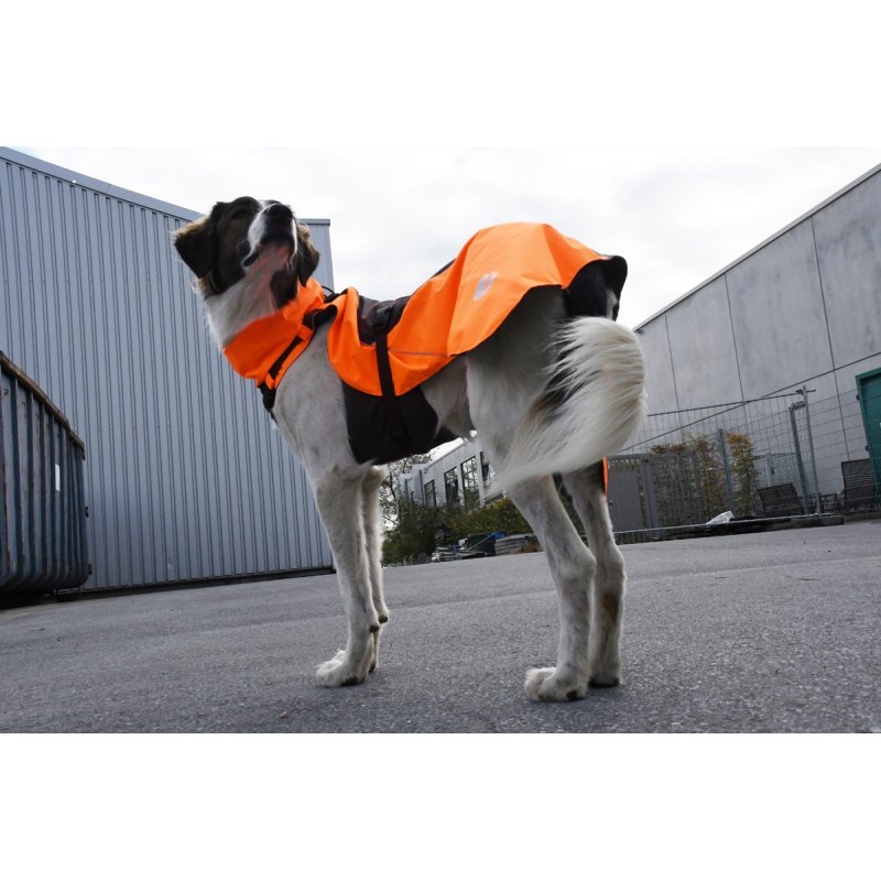 Leuchtorange Braun Mantelgeschirr 4