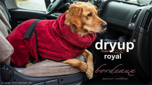Dryup Cape Royal (Hundebademantel Premiumlinie) - Action factory