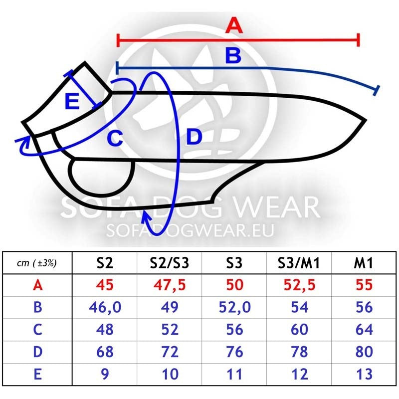 hachico bull grössen