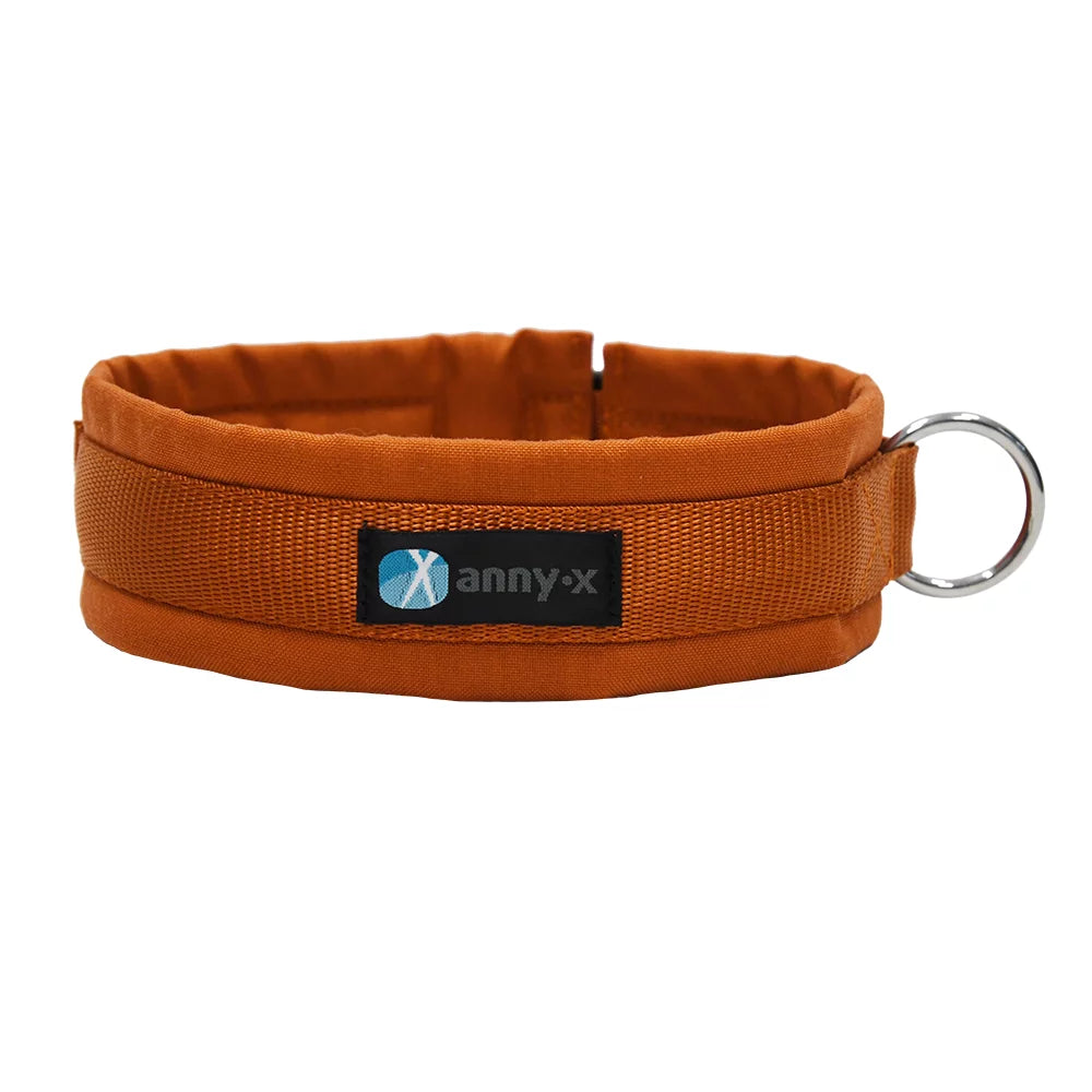 Robustes gepolstertes Cordura-Halsband mit Klickschliesse Annyx