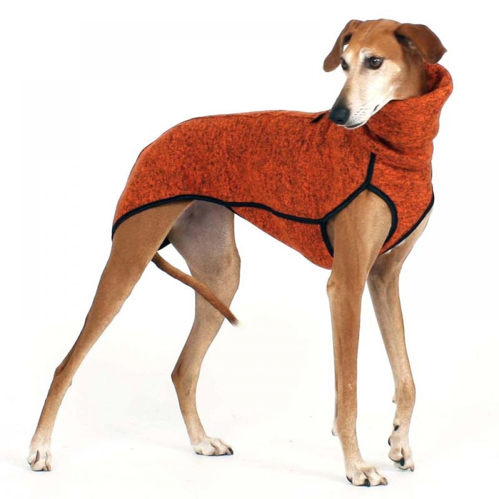 kevin jumper 1