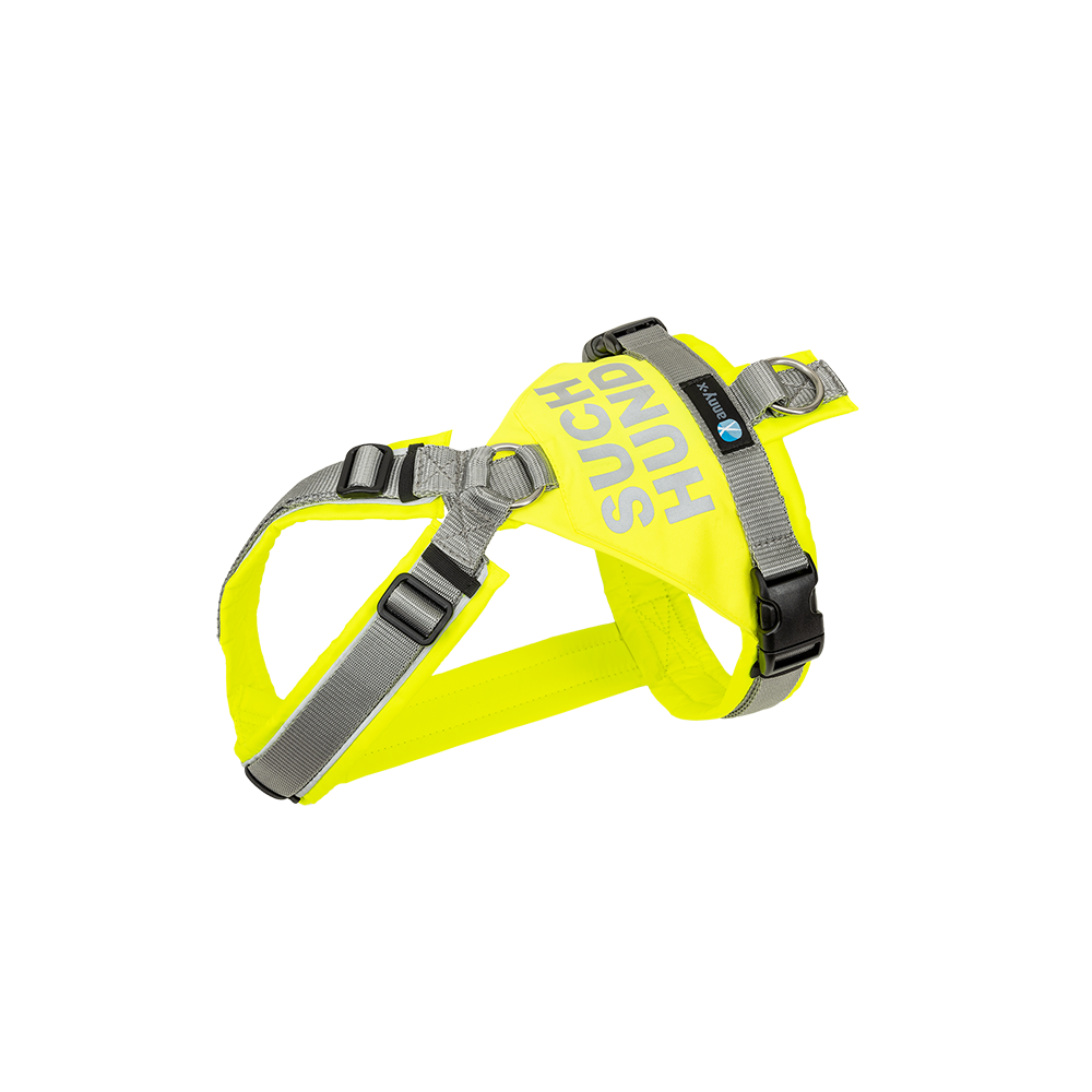 Recherche harnais pour chien - Annyx