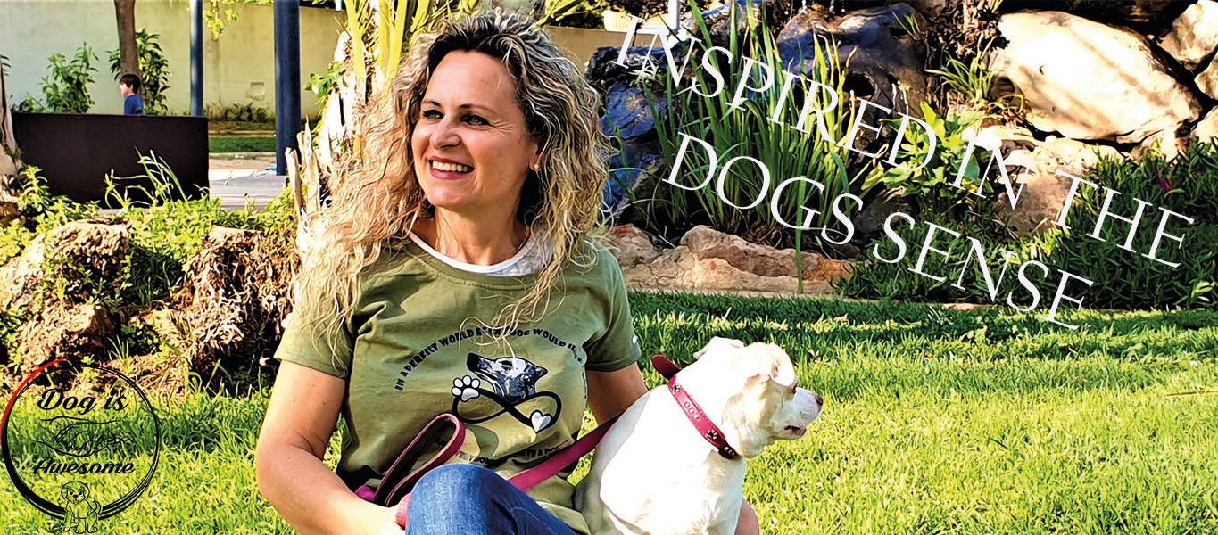 shirt a perfect home