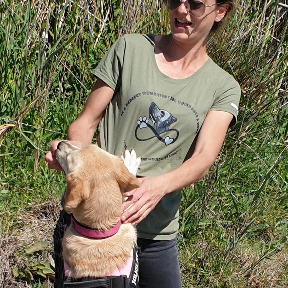 shirt in a perfect world 2