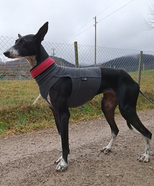 Baumwoll Shirt / Top - DG Doggear