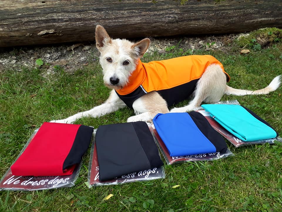 Hundeshirts / Pullis