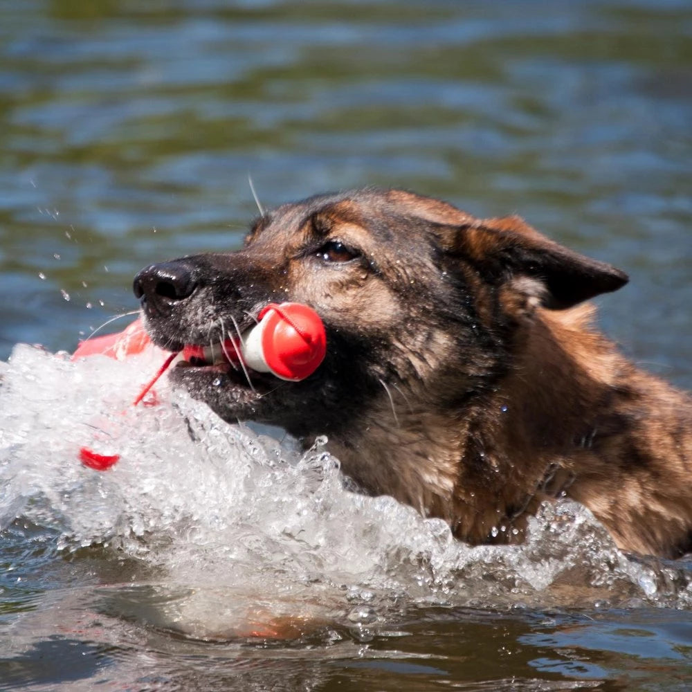 Wasserspielzeug