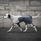 Fjord Raincoat 2.0 - Nonstop Dogwear