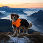 Fjord Raincoat 2.0 - Nonstop Dogwear