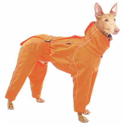 Alice et Jasper - Sofadogwear