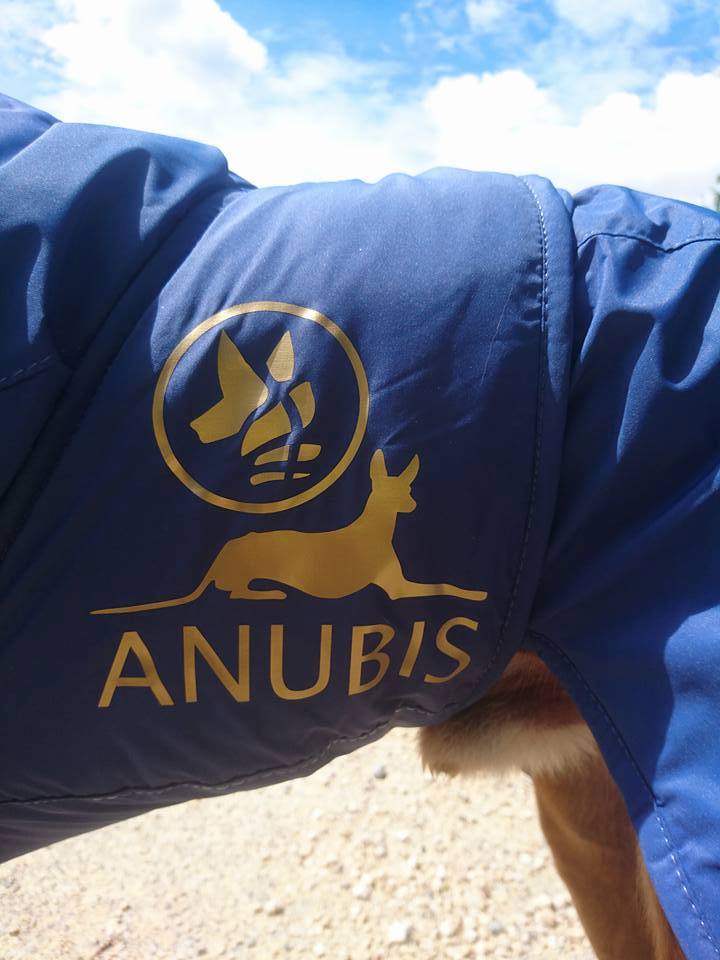 Anubis 5