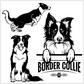 Border Collie 2