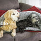 Cuddle Up 1