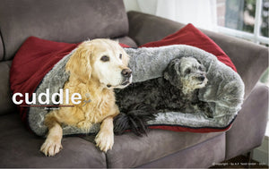 Cuddle Up 1