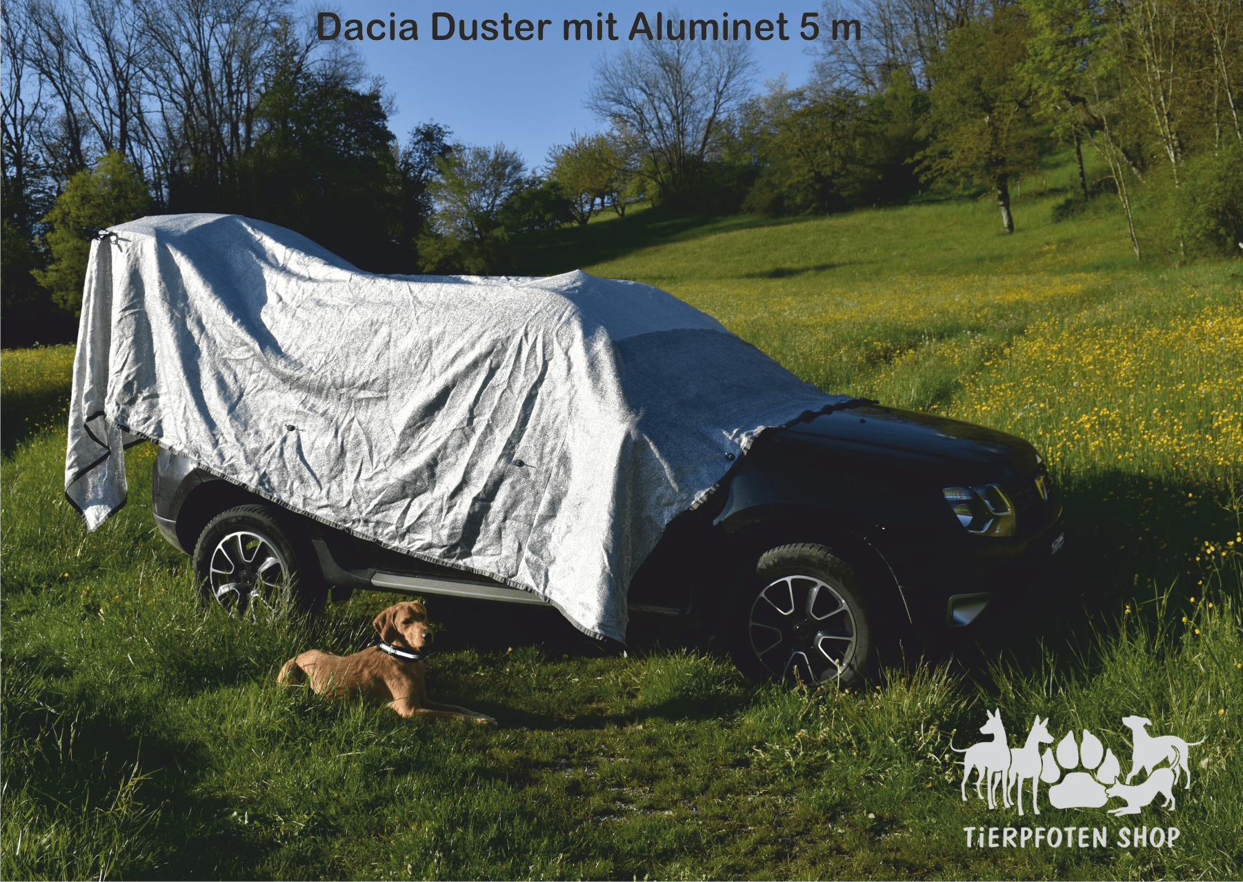 Dacia Duster 1