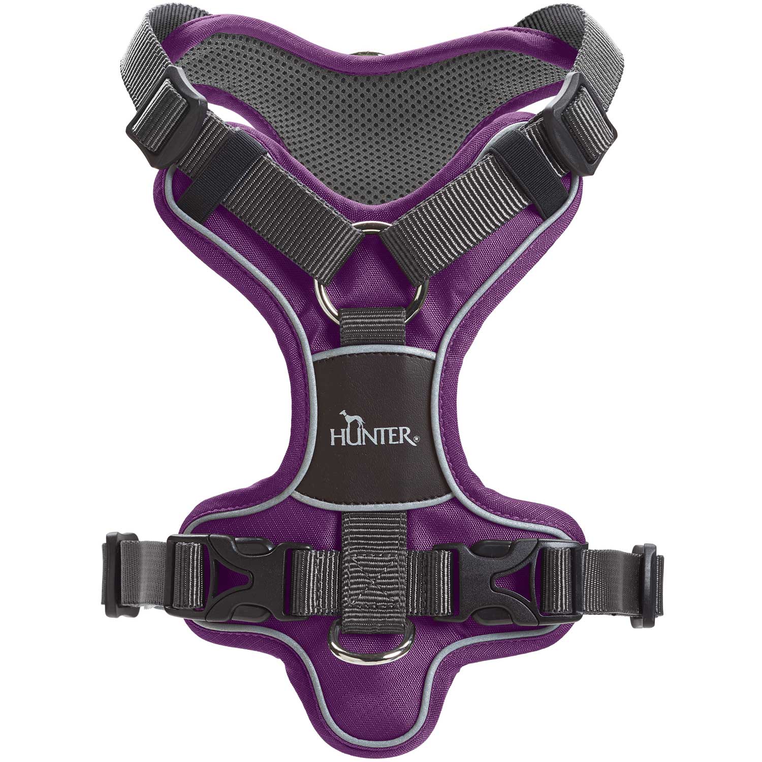 Divo 1