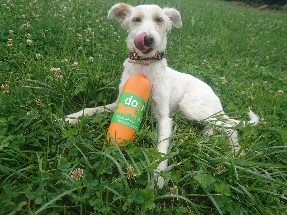 Doxi itaca