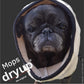 Dry up Cape Mops