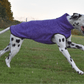 Edda Hachico Jumper 02