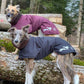 Elvis - Sofadogwear