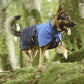 Imperméable Fjord - Nonstop Dogwear