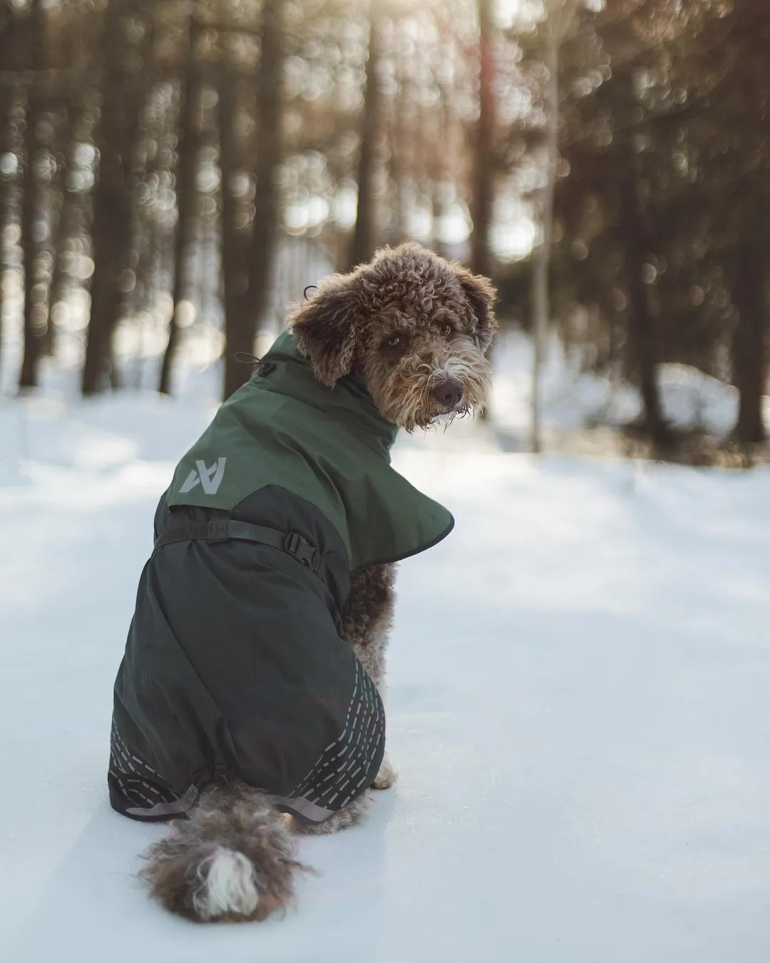 Non-Stop Dogwear Fjord Regenjas, Groen/Grijs - 65 Non-Stop Dogwear Fjord Regenjas, Groen/Grijs - 65