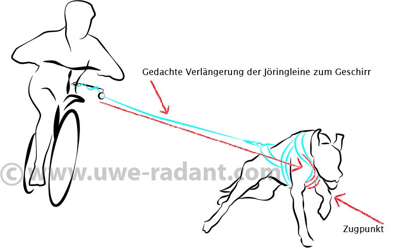 Geschirr unter Zug 2