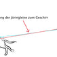 Geschirr unter Zug