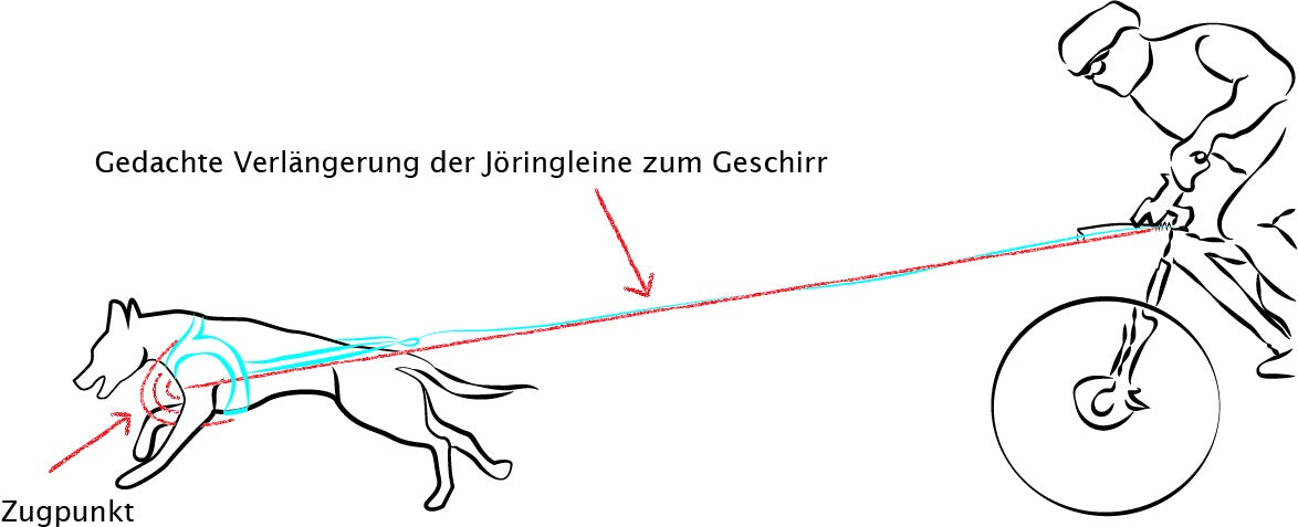 Geschirr unter Zug