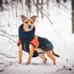 Glacier Orange 9