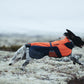 Glacier Orange