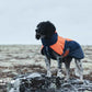 Glacier orange 1