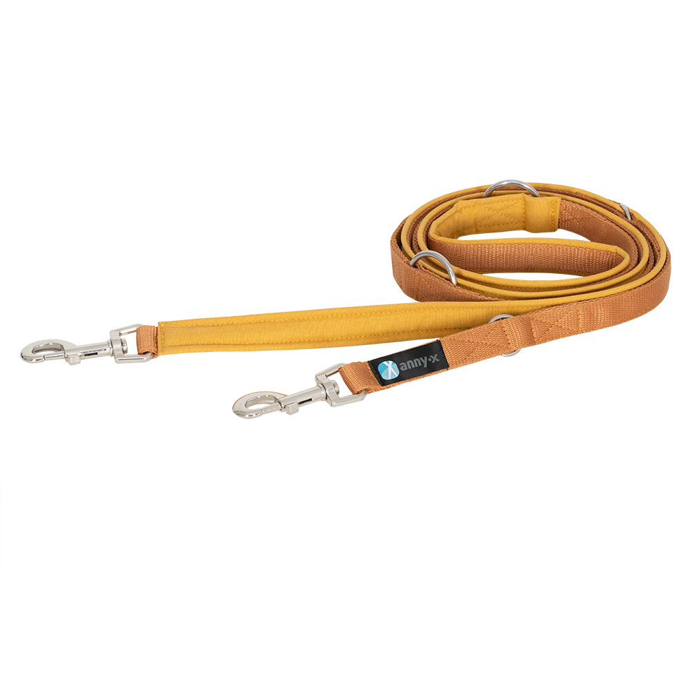 Bolt Carabiner Leash (Standard Colors) - Annyx