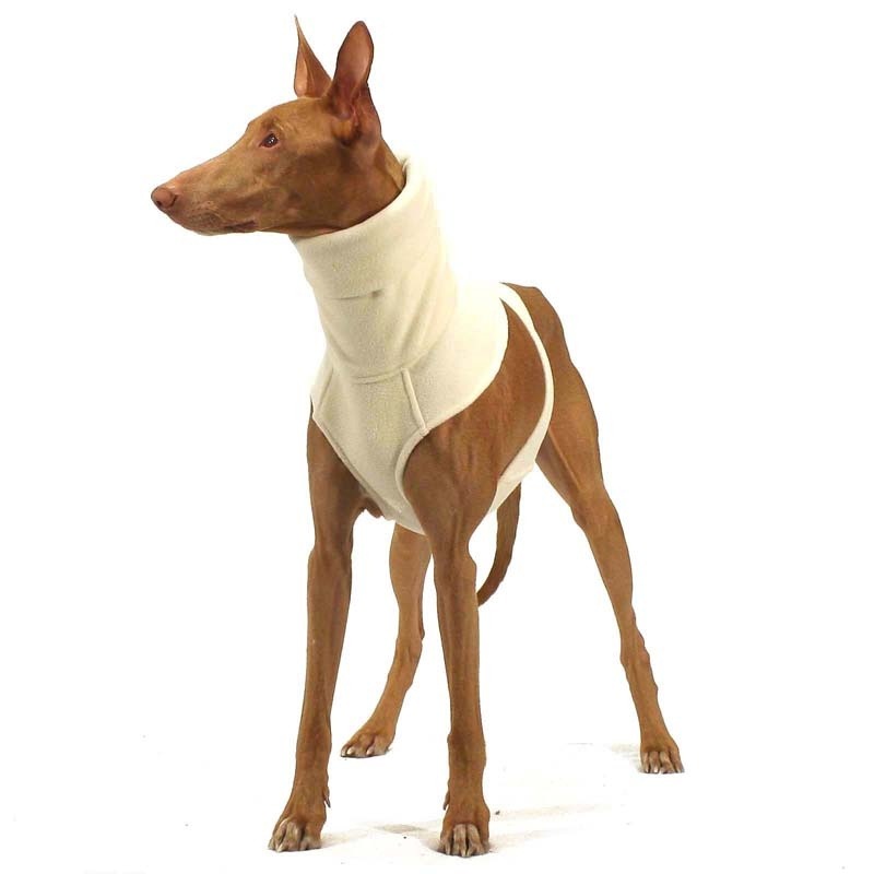 Goya Beige 1