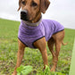 Hachico Jumper 02 - Sofadogwear | L2