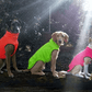 Hachico Jumper Neonfarben