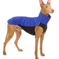 Hachico 02 (Softshell Shirt) - Sofadogwear