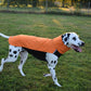 Hachico 02 (Softshell Shirt) - Sofadogwear