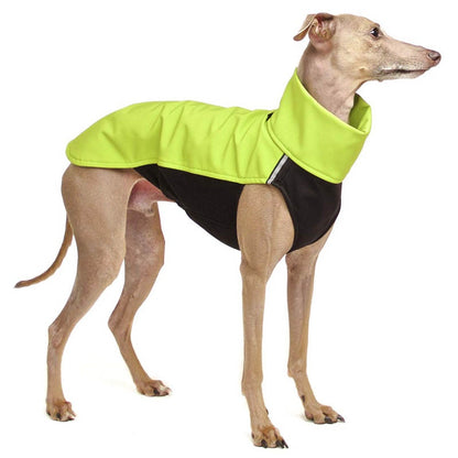 Hachico 02 (Softshell Shirt) - Sofadogwear