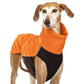 Hachico 02 (Softshell Shirt) - Sofadogwear