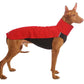 Hachico 02 (Softshell Shirt) - Sofadogwear