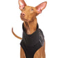 Hachico 02 (Softshell Shirt) - Sofadogwear