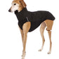 Hachico 02 (Softshell Shirt) - Sofadogwear