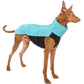 Hachico 02 (Softshell Shirt) - Sofadogwear