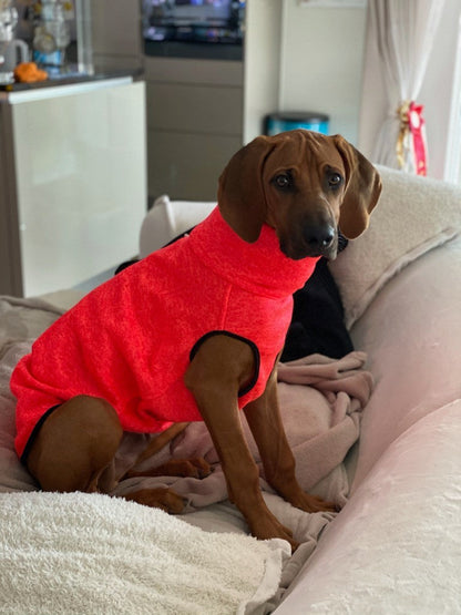 Hachico Jumper 02 - Sofadogwear | XS1