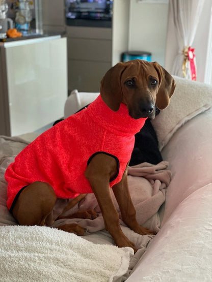 Hachico Jumper 02 - Sofadogwear | L2