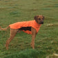 Hachico Home (Fleece Shirt) - Sofadogwear