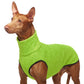 Hachico Jumper 02 - Sofadogwear | L2